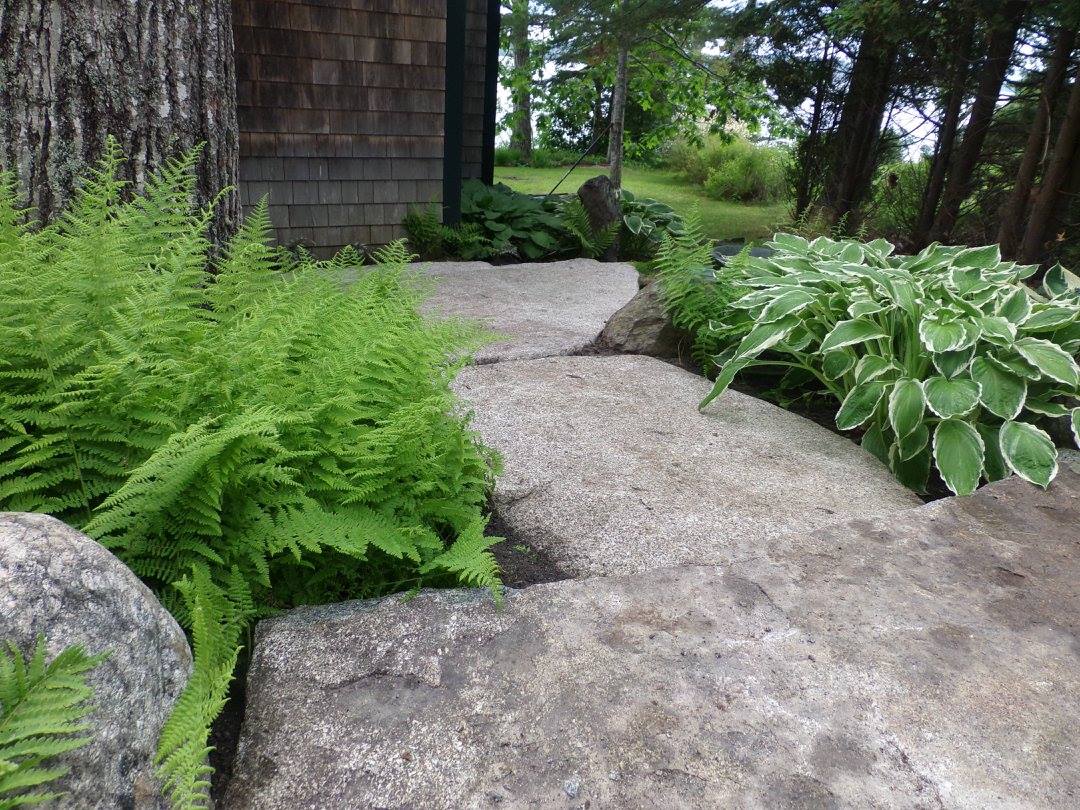 Gardens and Landscape Services MDI Bar Harbor Maine