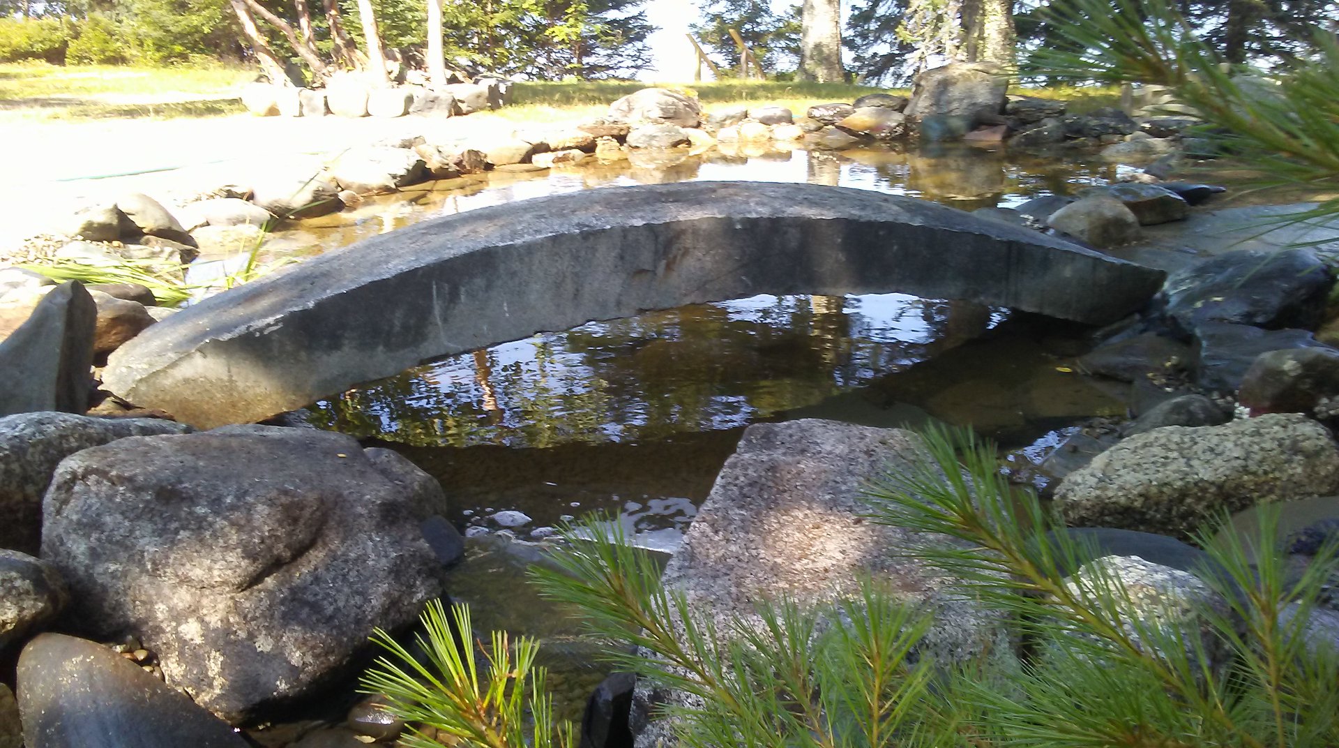 ponds, water gardens